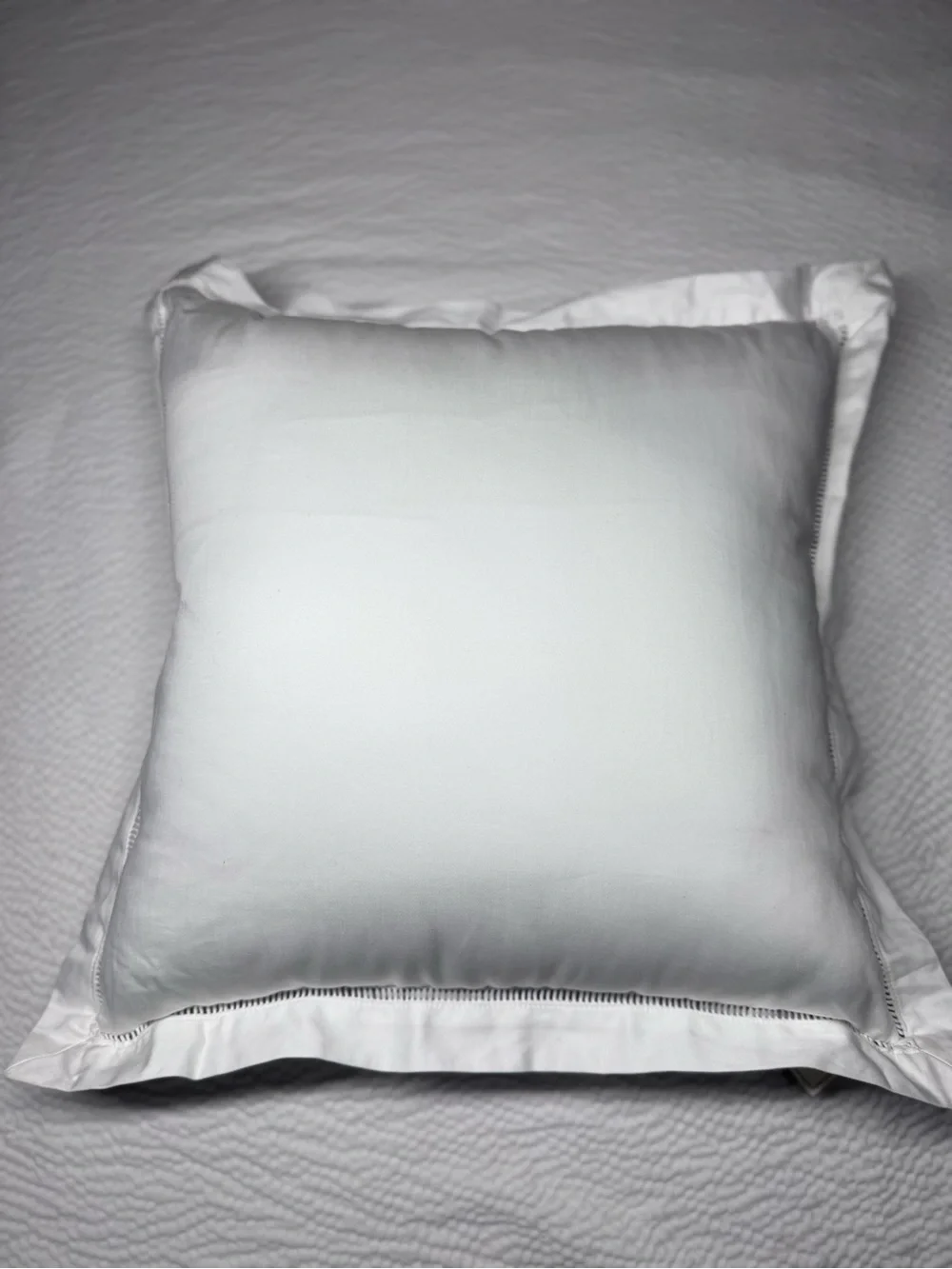 Southern Living White Sateen 20x20 Decorative Pillow NWT